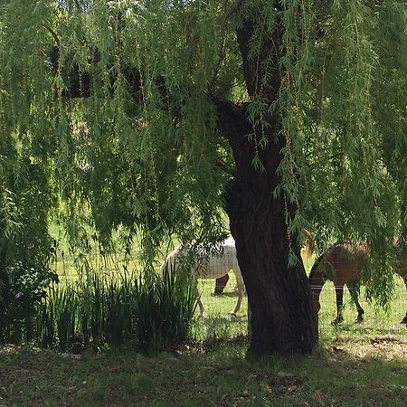 Laragne Les Gites D'Eliane المظهر الخارجي الصورة