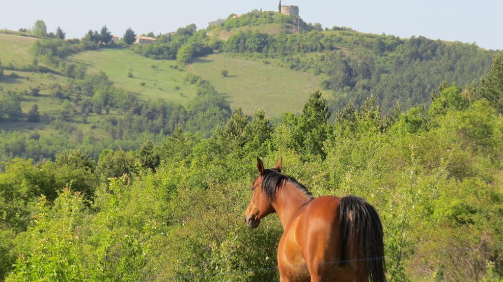 Laragne Les Gites D'Eliane المظهر الخارجي الصورة